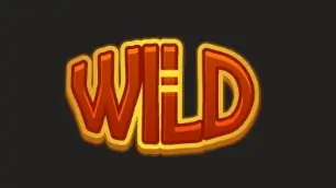 สัญลักษณ์ Wild