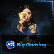 BIG Gaming